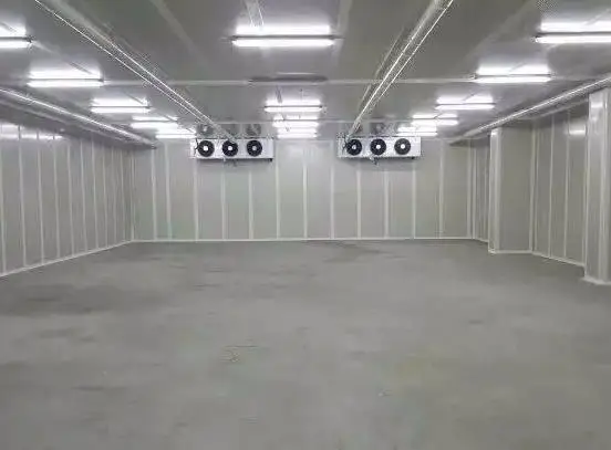 20ft 10 тонн мобильный мини-холодильник прогулка в контейнер с обдувом холодным 500 кг Цена за проект холодильного оборудования