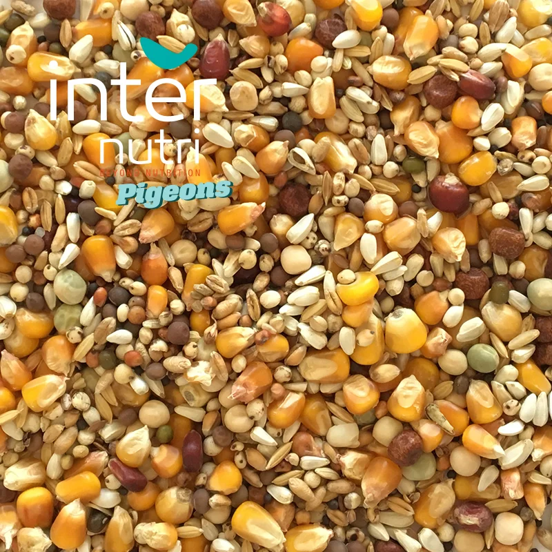 
Seed mixture for pigeons | INTERNUTRI PIGEONS SUPER WIDOWHOOD 20KG 