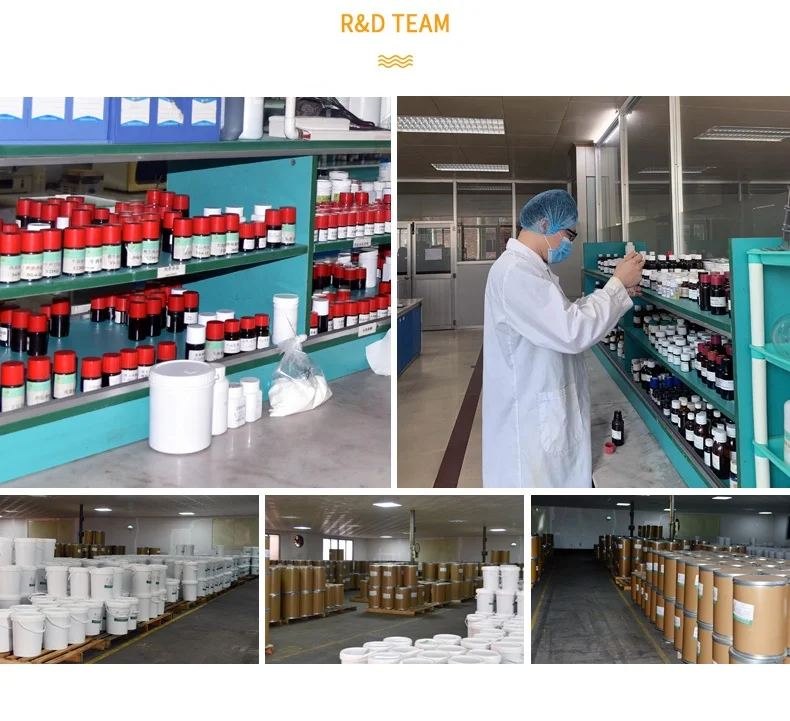 
Hot spicy curry flavor powder for curry food 