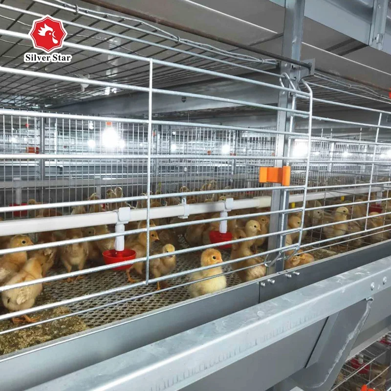 China factory direct sale battery chicken cage chicken coop