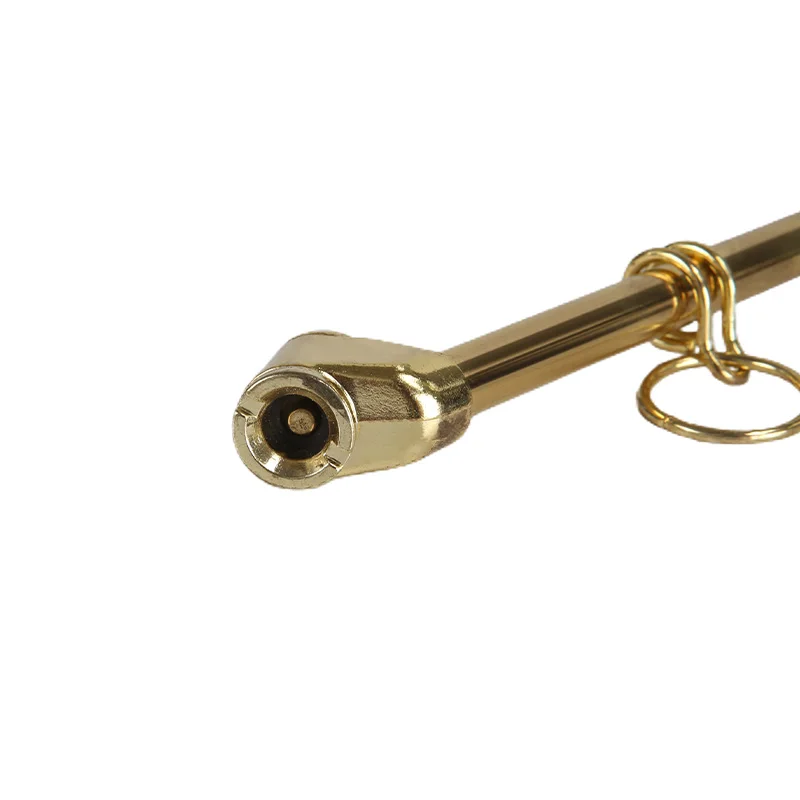 Customized Air Gauge Extended Rat Tail Tire Chucks Auto Tire Pressure Gauge