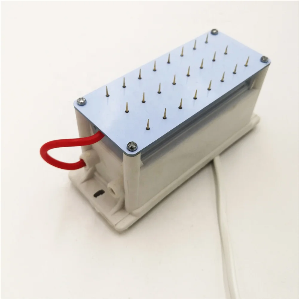 2021 новый плазменный генератор озона ионизатор положительный ион носимых ионизатор DC12V AC110-240V OEM/ODM отрицательный ионизатор очиститель воздуха части