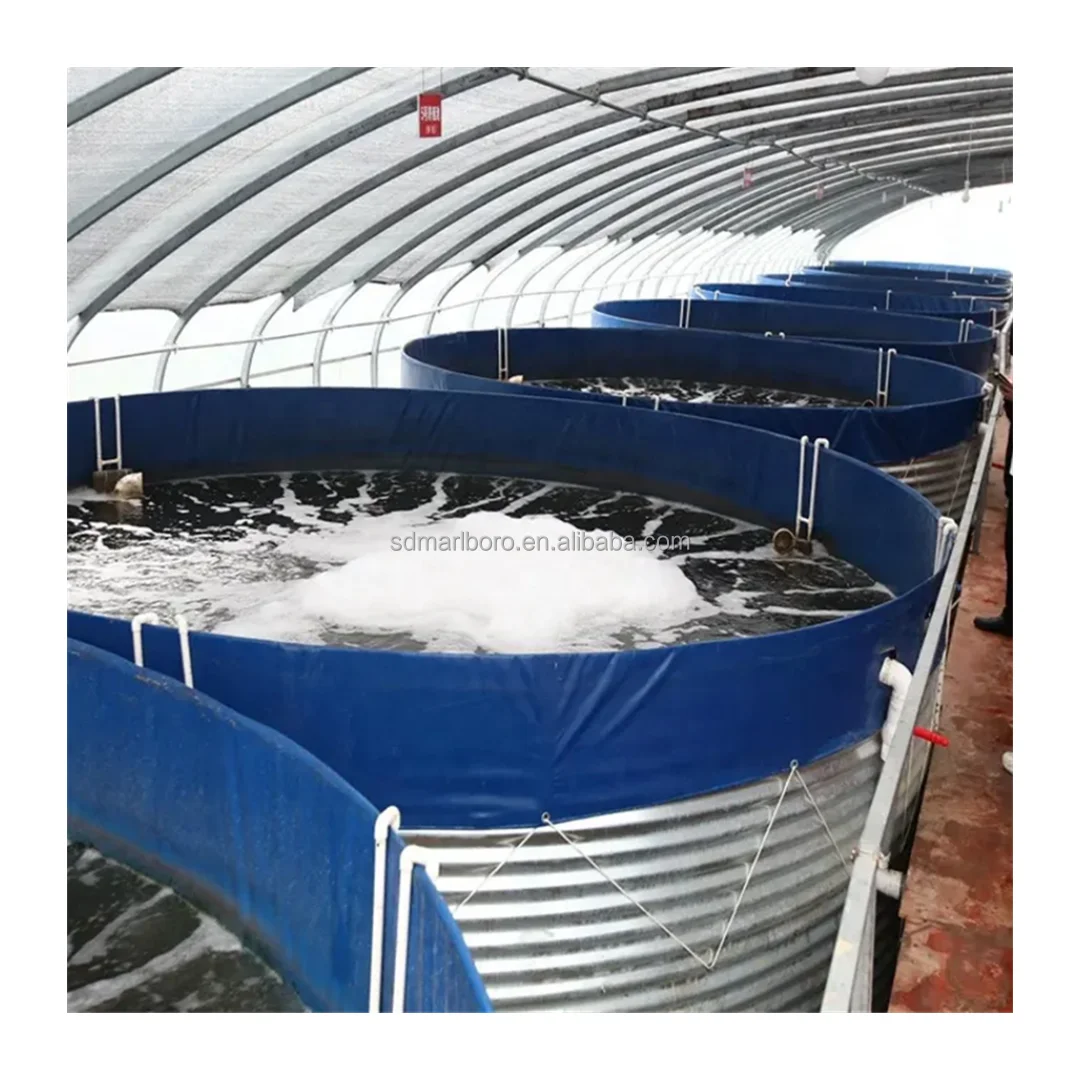 Fish Farming Equipment Tarpaulin Fish Pond Economic Hot Dip Galvanized Steel Koi Tilapia Fish Farming Pond
