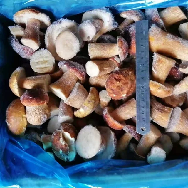 Frozen Boletus Edulis New Crop Wild Mushroom IQF Boletus Edulis Whole Sliced Cubes