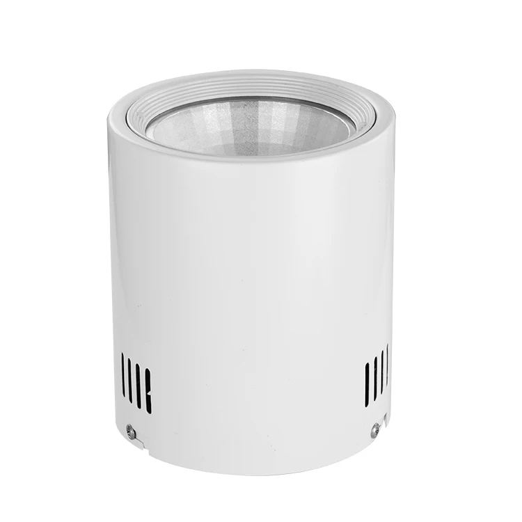 Zhongshan OEPE LED Down Light Black/White Square Shape Surface Mounted Led Cob12W Down Light factory wholesale housing