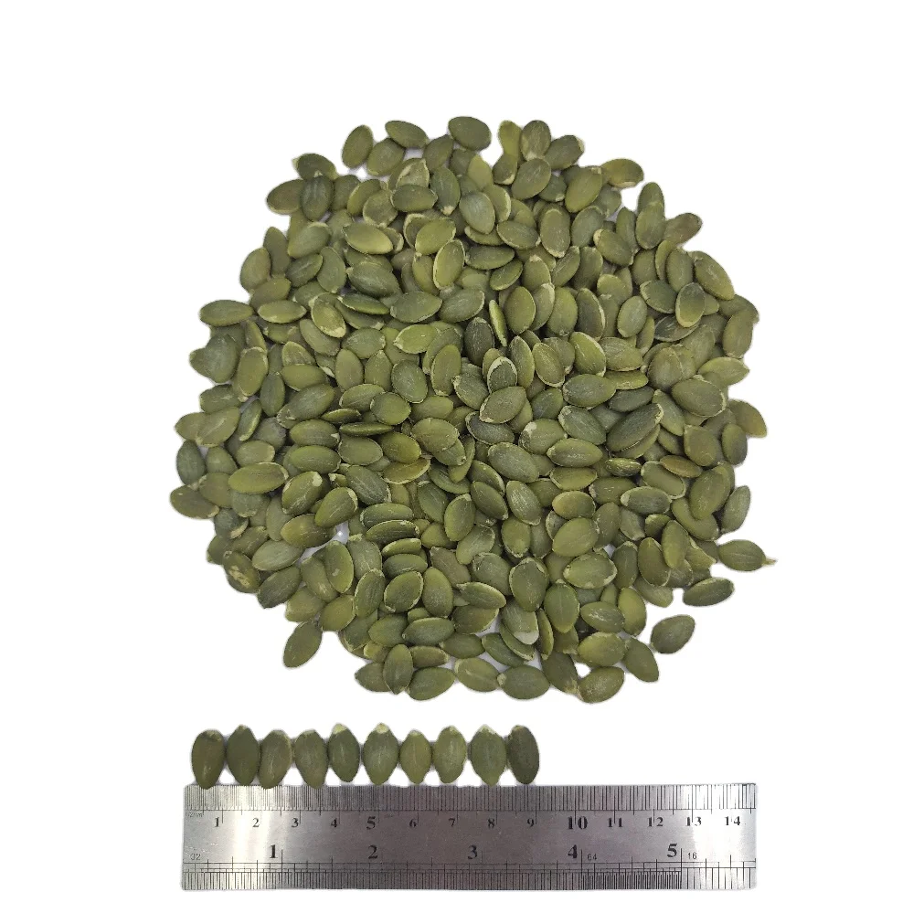 Agriculture pumpkin seed kernel extract powder