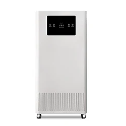 RUIWAN LD150B High Effect Portable Plasma Air Dust Sterilizing Filtration Purifier