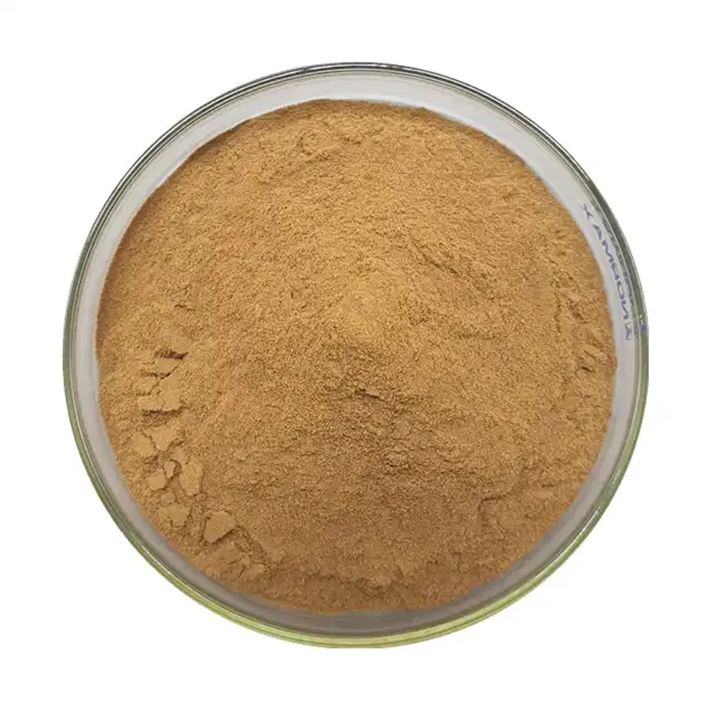 High Quality Polysaccharide 30% Oyster Mushroom Extract