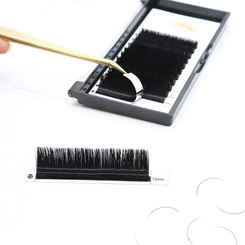 OEM Factory Eyelash Extension Private Label Custom Artificial Eyelash Ellipse Flat Shape False Lashes Black Korean PBT Fiber