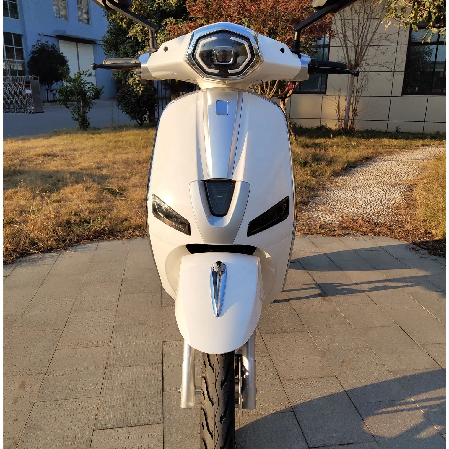 eec coc electric scooters adult electric bicycle electric moped scooter motorcycle