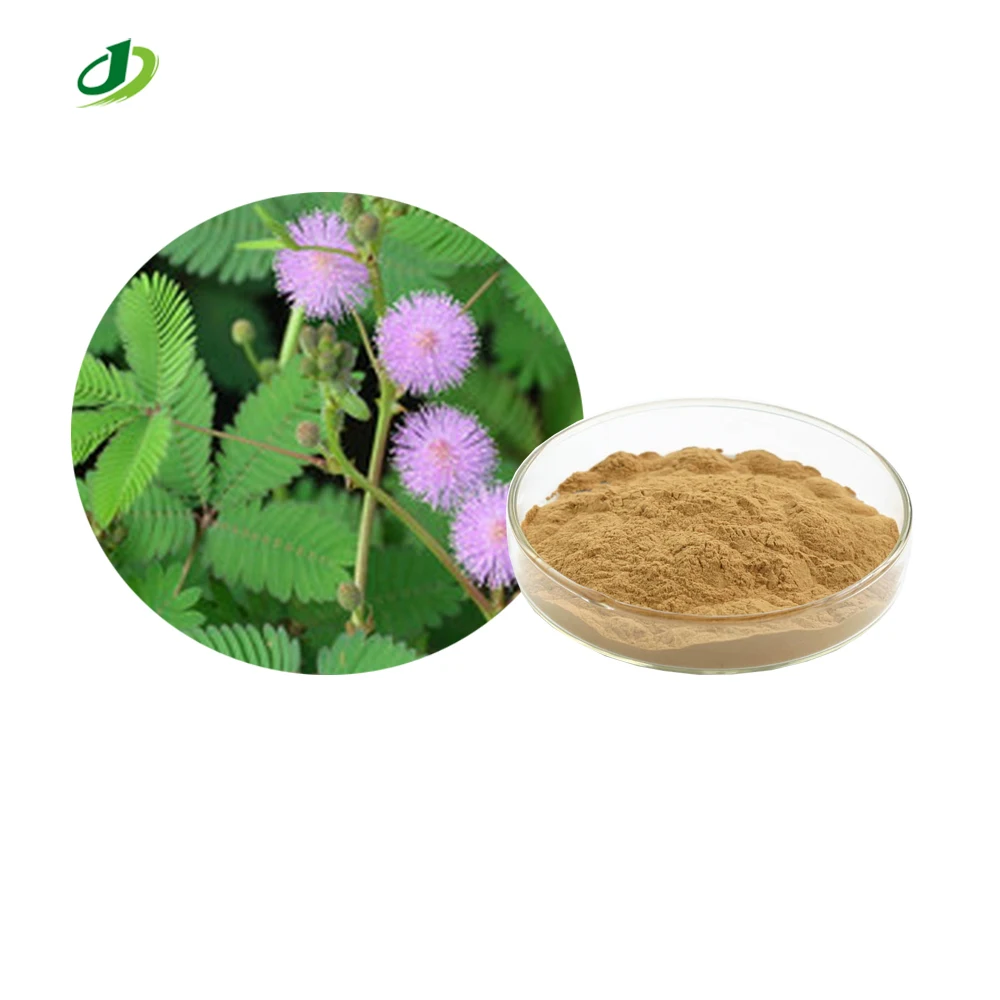Экстракт Mimosa Pudica/экстракт Pudica Linn порошок 5:1 10:1 20:1
