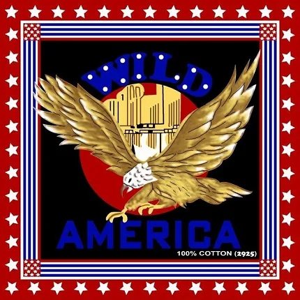 Custom Print Hot Selling 100% Cotton American country Flag Bandana