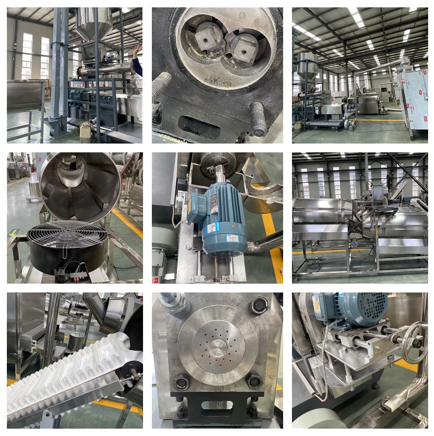 Efficient fish feed Twin screw extruder fish food making machine fish feed equipment