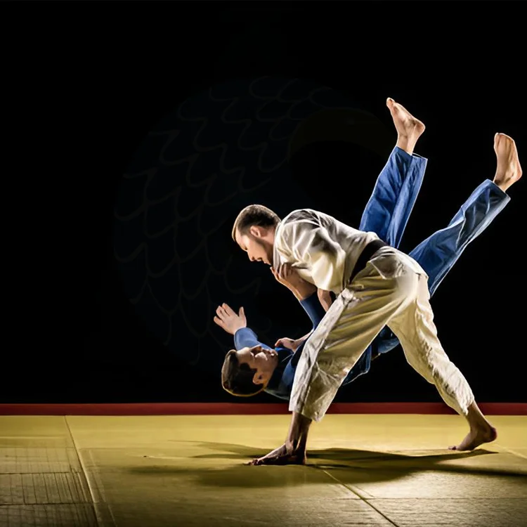 Factory Customized Judo tatami mat new pvc Leather Material jujitsu mat custom size pattern Sponge Grappling Judo Mat for sale
