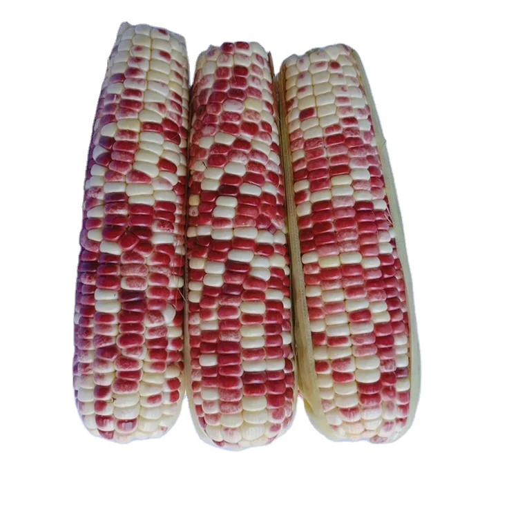 
Высококачественная Органическая восковая Кукуруза без ГМО, Лидер продаж 