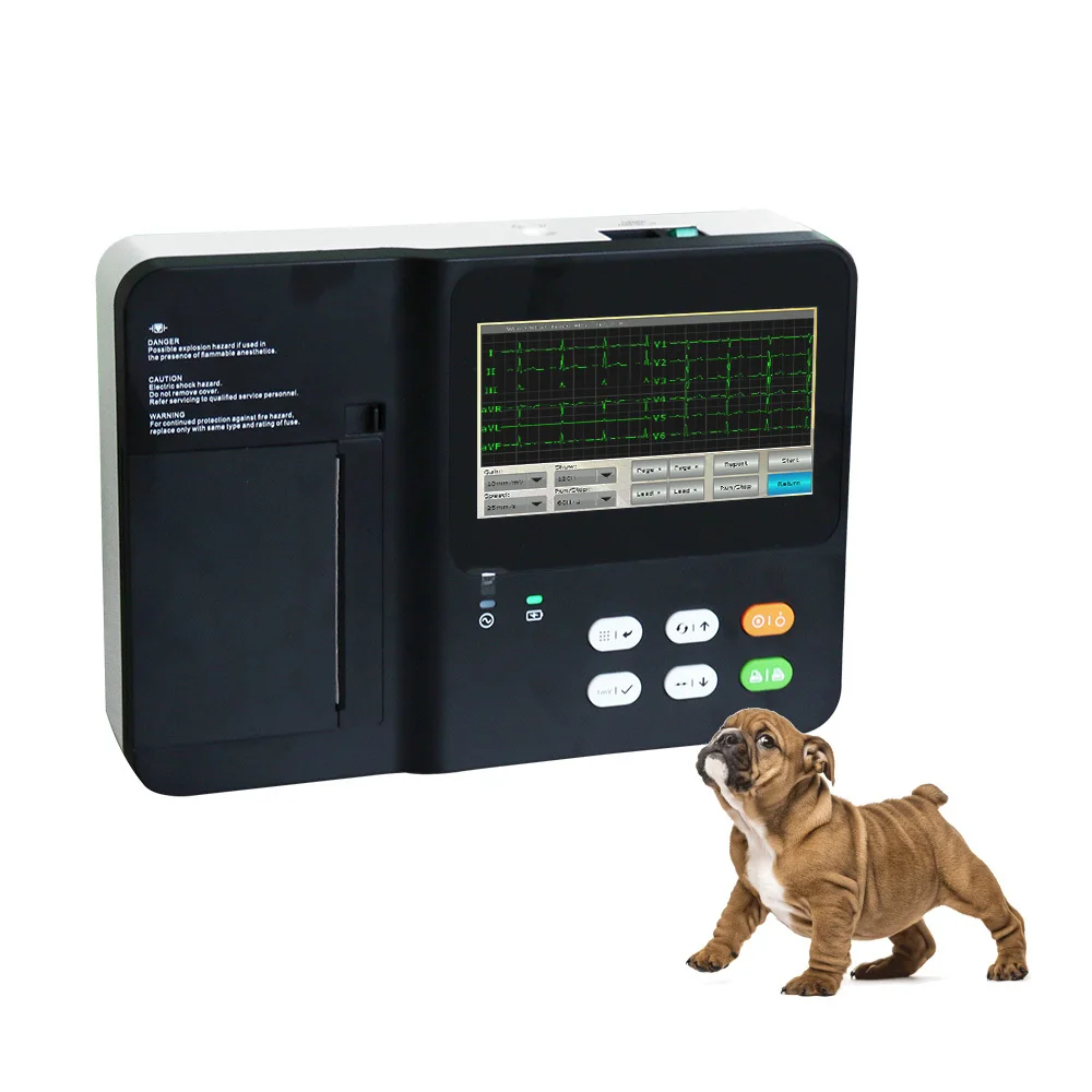 Veterinary Instrument 12 Leads 6 Channels EKG Cat for Dogs Cost Feline Canine ECG InterpretationOther Veterinary Instrument