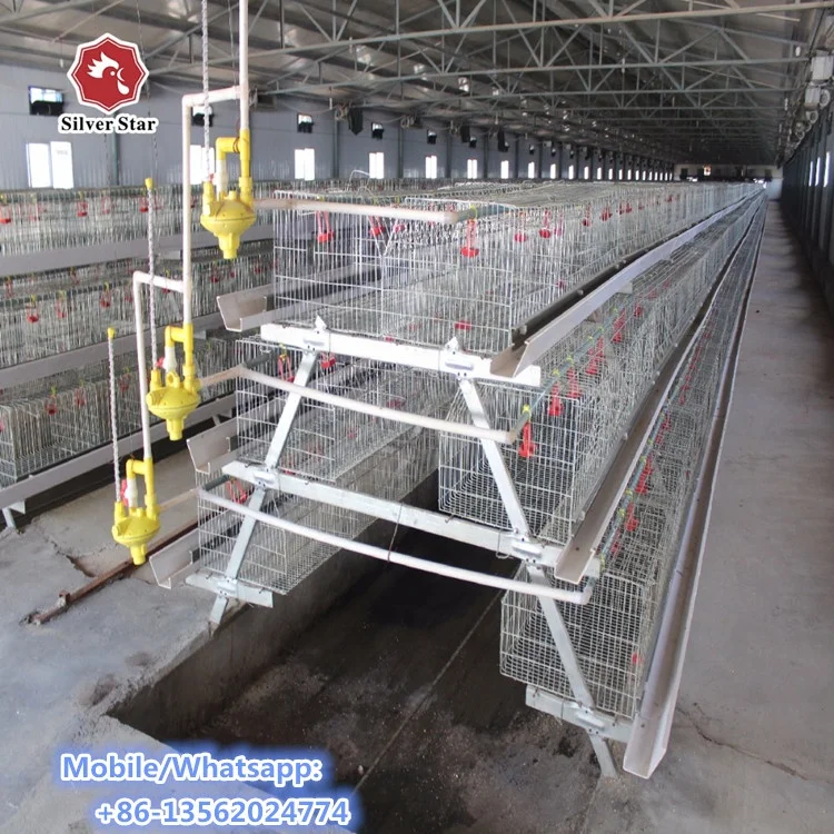 Automatic Pullet Chick Battery Cage for Day Old Layer Chick Cage