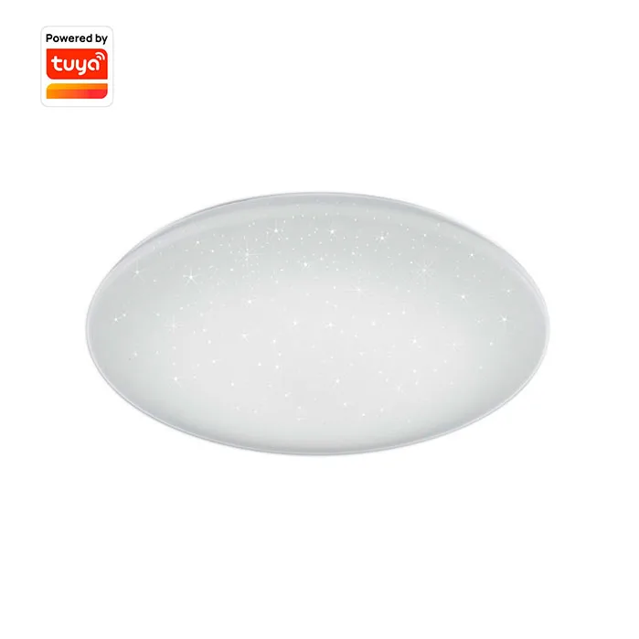Modern D270mm Tuya Smart Control Led Ceiling Lights With RGB For Home Decoration