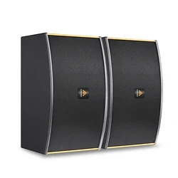 InAndOn 10 inch Black Matte Iron Mesh Professional KTV Karaoke Audio Set Entertainment Set Sound Equipment Home Theater Speaker