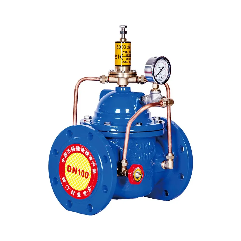 Stainless Steel 304 Cf8m Bsp Thread Vertical Spring Loaded Non Return Check Valve 1000wog