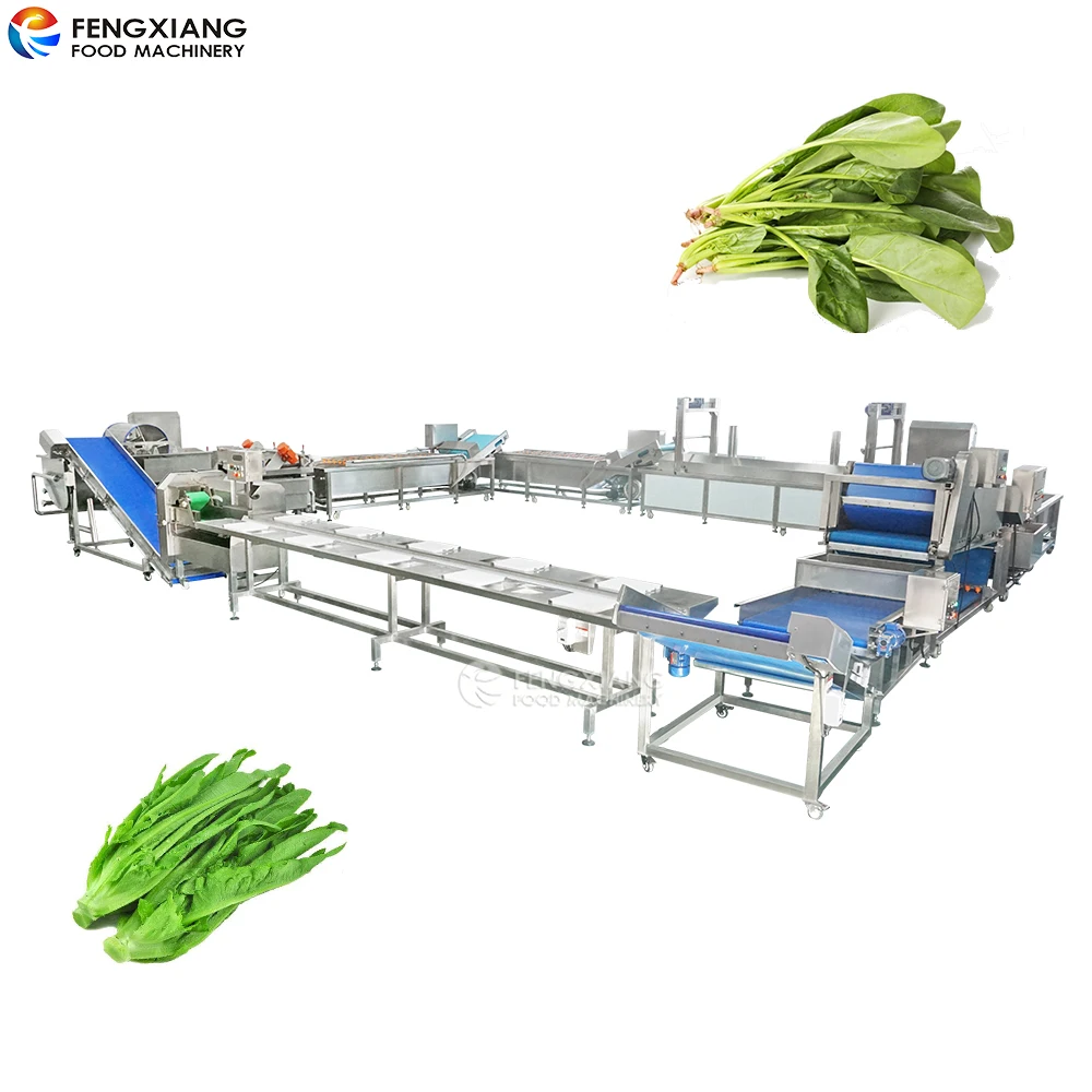 Vegetable Production Processing Line Cabbage Lettuce Spinach Cutting Washing Blanching Dehydrating Machine for food industry