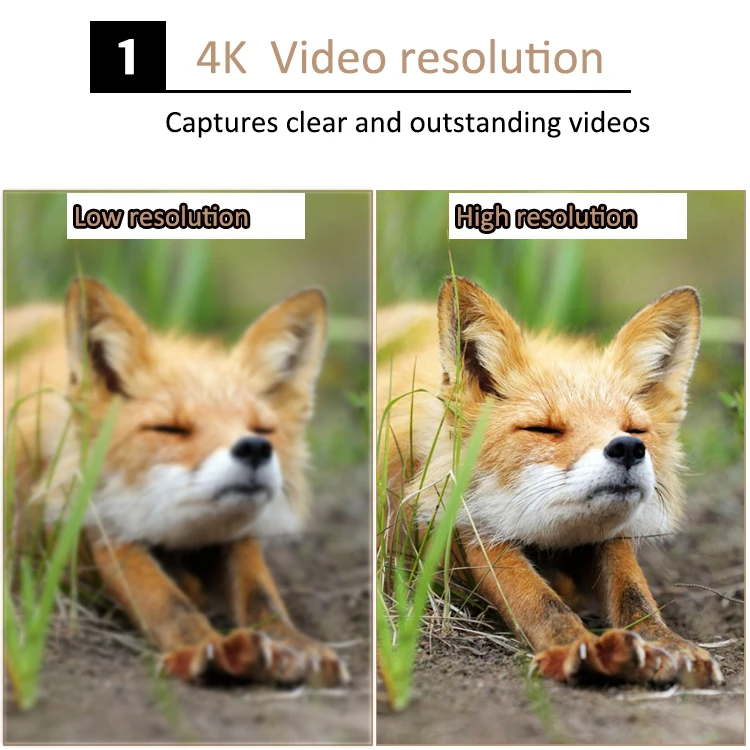 Source manufacturer Real 4K Video Night Vision Hidden Infrared Outdoor Trap Deer Game Trail Camera Hunting