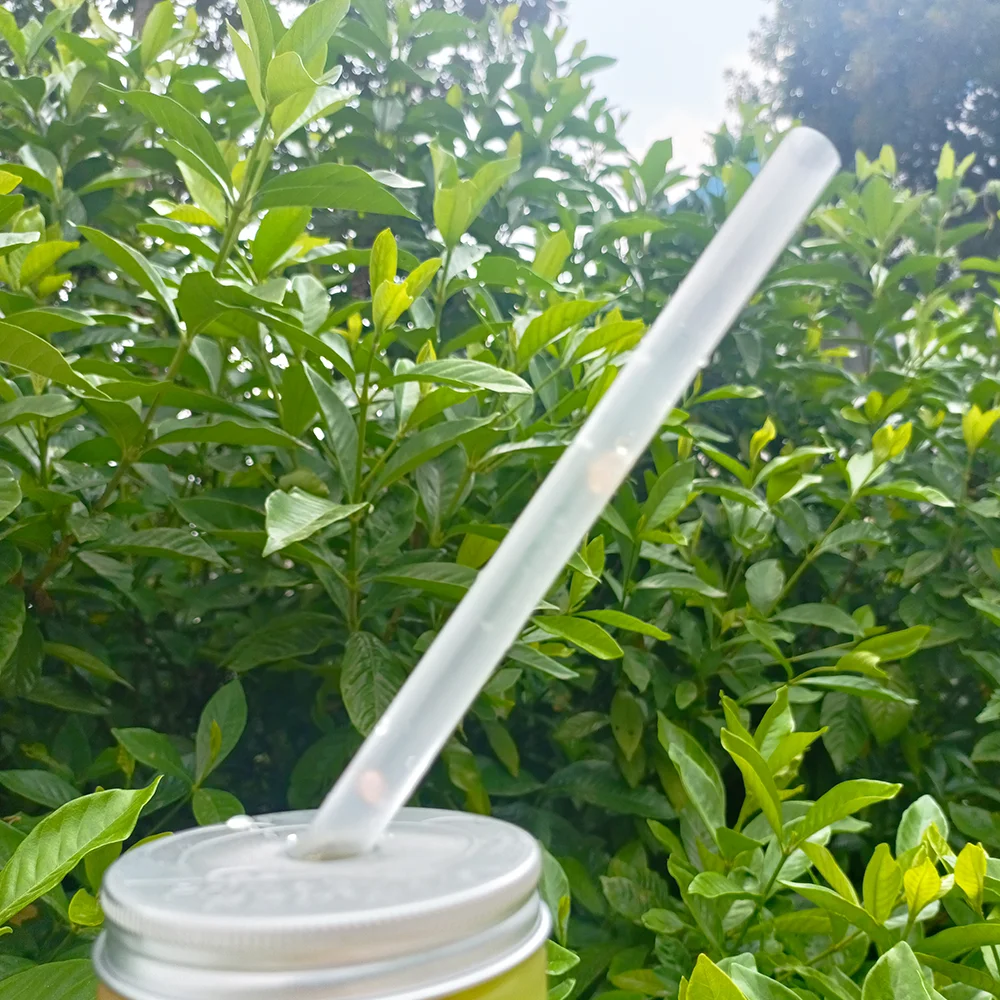 Quanhua Enjoy Cool Drinking PLA Straw Straight Straw Made From Cornstarch Eco Friendly Compostable CPLA Straws