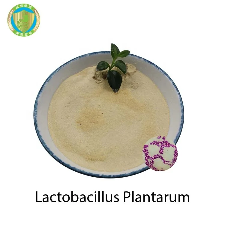 The Latest Design Fish Feed Additives Lactobacillus Plantarum Probiotic Powder