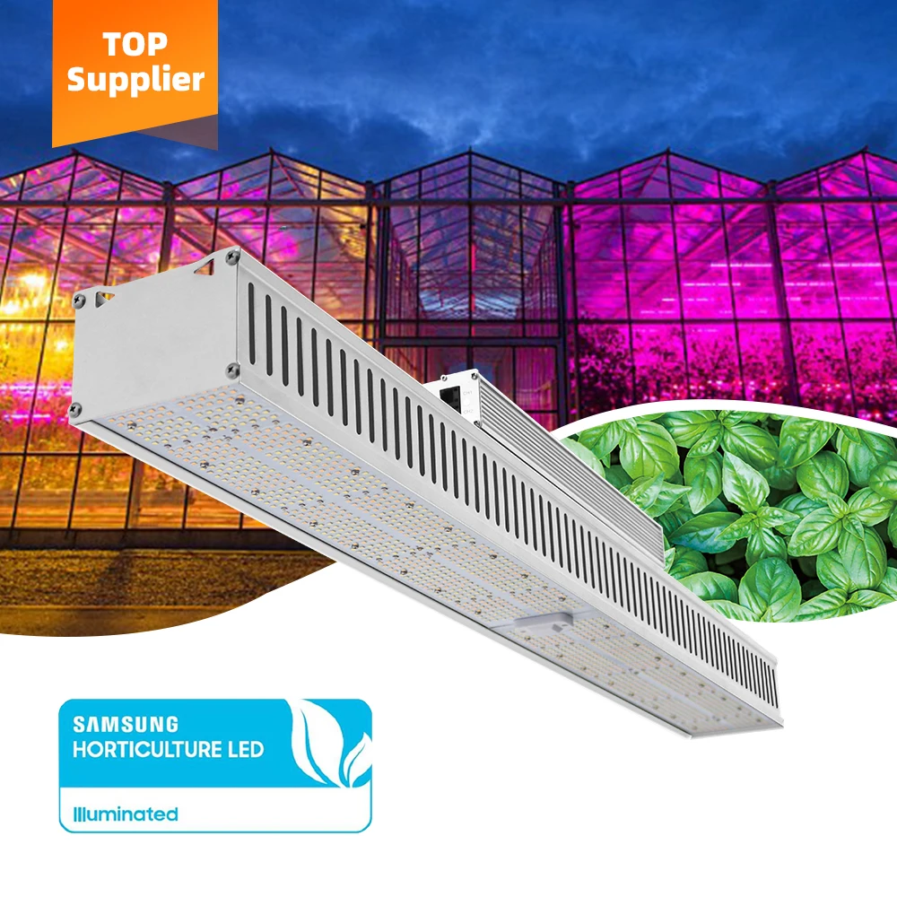 Greenhouse Top Light High Powerful Efficient Shadow Free New Full Spectra LM301H 600w Led Horticulture Linear Grow Light