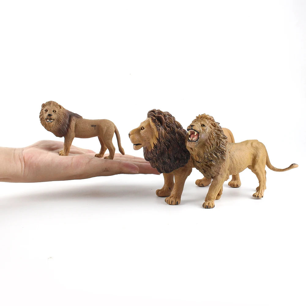 lion (3)