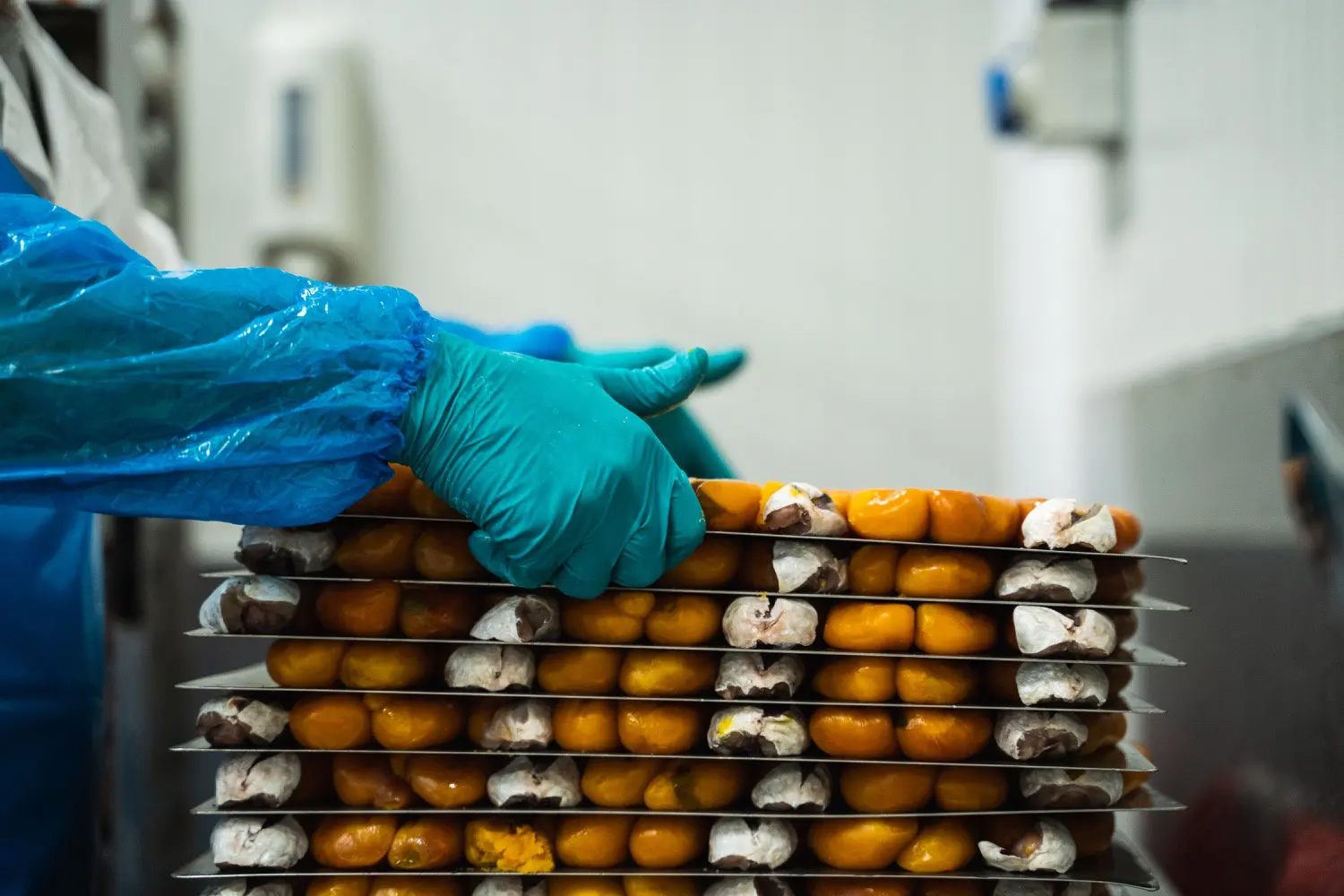 Pure Italian Bottarga Elegance - Premium Mullet Roe, 250-300g | Add A Gourmet Touch To Every Exquisite Dish