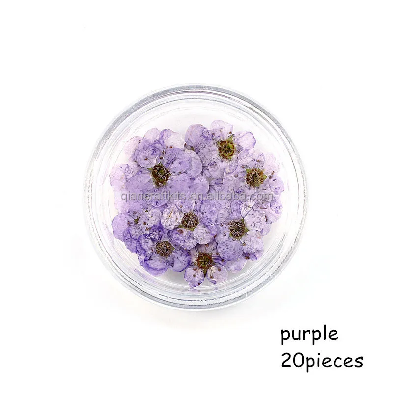 flower (8).jpg