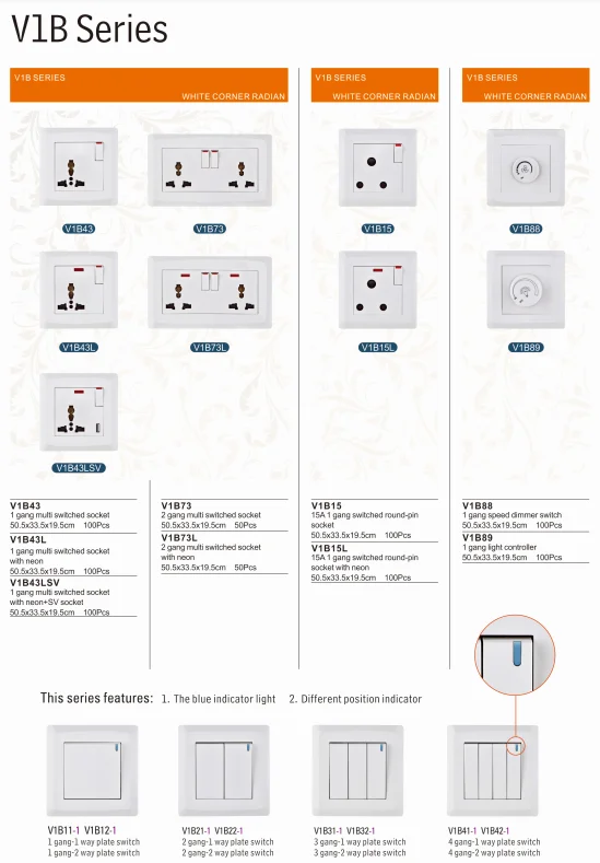 10 Pin Dual Universal Power 2 Gang Multi Functional Socket Receptacle Outlet Twin Usb Plate Wall Socket With Usb