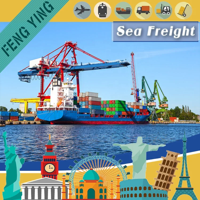 All Types Shipment and any port of China Departure High Quality Sea Freight Forwarder