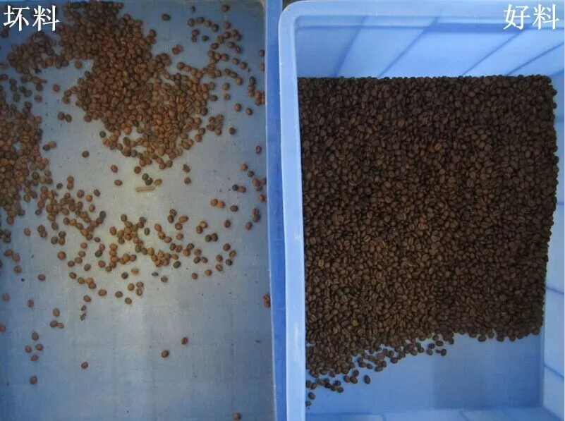 Brand Angelon 2020 new model  coffee bean color sorter /colour sorting machine for coffee bean