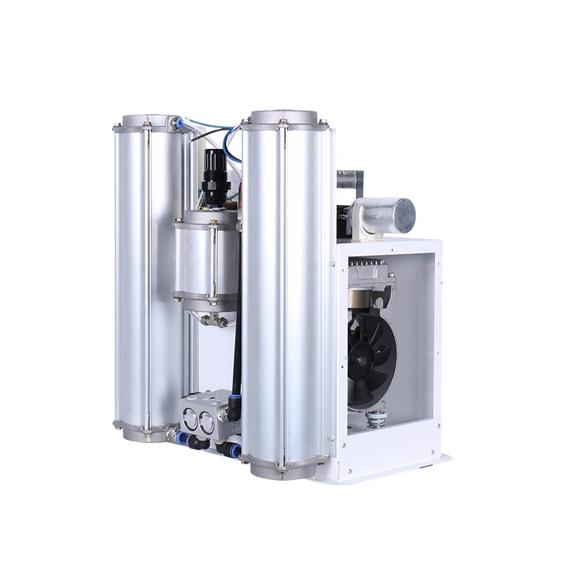 2 tower oxygen molecular sieve Gas oxygen generator