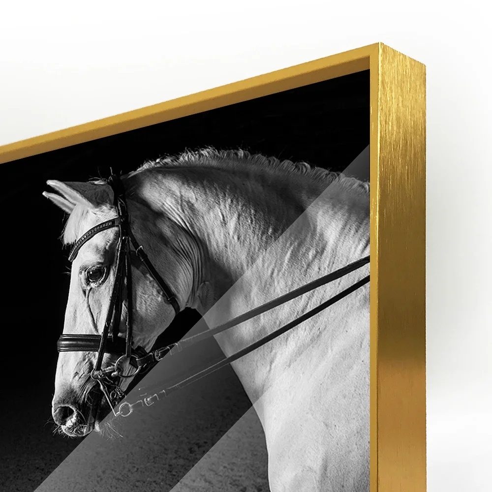 Hot Selling Black&White Horses Acrylic Wall Art Prints Canvas Art Work Frameless Acrylic Painting Oil Painting for Wall Decor.