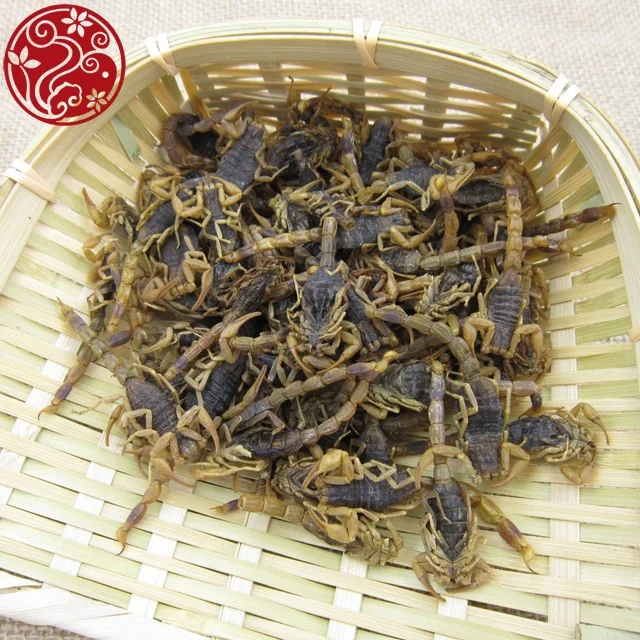 
bulk supply dried scorpion Quan xie medicinal materials 