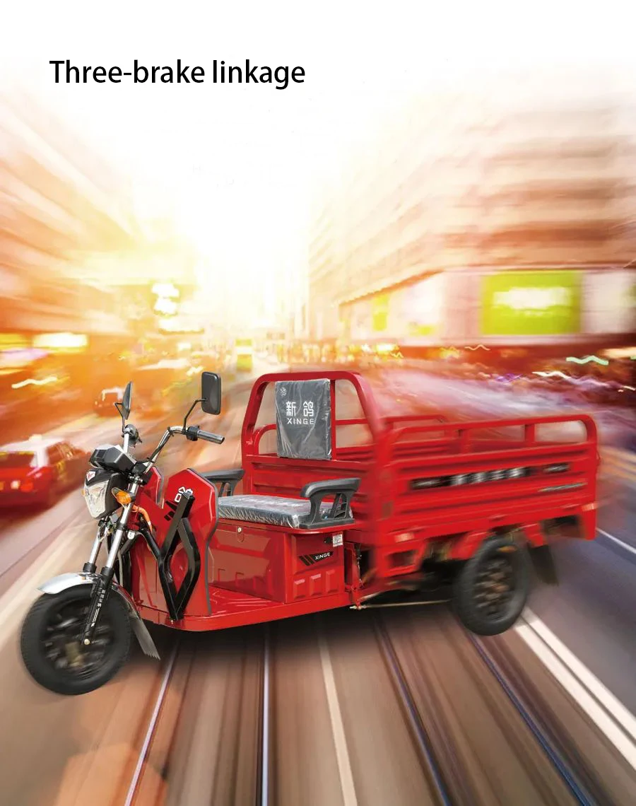 48V 800W accept customization heavy duty cargo electric auto rickshaw