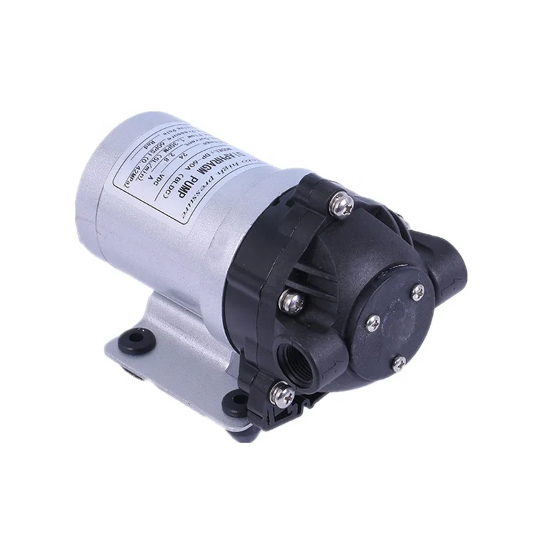 Whaleflo DP-60A BLDC 12v brushless motor 5L/min road sweeper spray pump beauty equipment self-priming booster pump