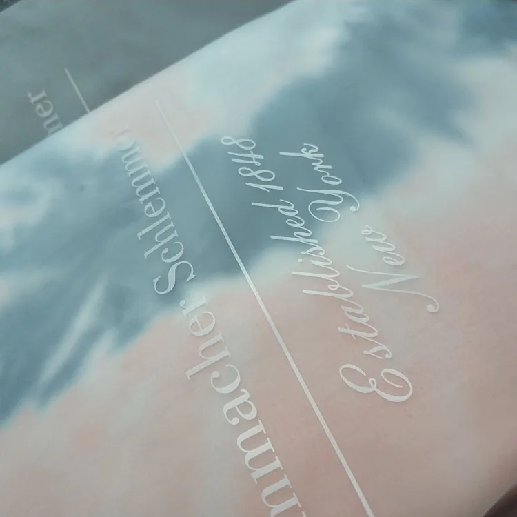 Wholesale Custom Plastic Zip Bags Matte/Frosted Zipper Bag For Clothing Plastic Bag Pouch With Ziplock