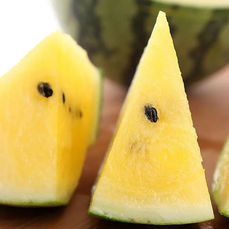 2021 год, высокопроизводительные желтые семена арбуза YG NO.1