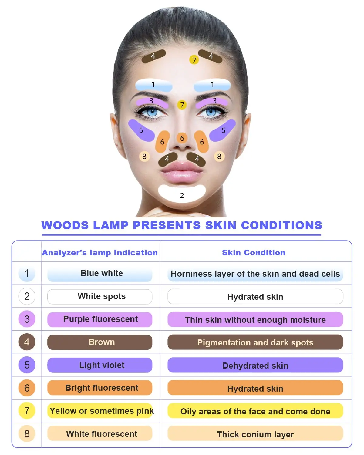 2024 Home Use Korean Animal Medical Rechargeable Detector Professional Facial Uv Magnifying Portable Woods Lamp Skin Analyzer
