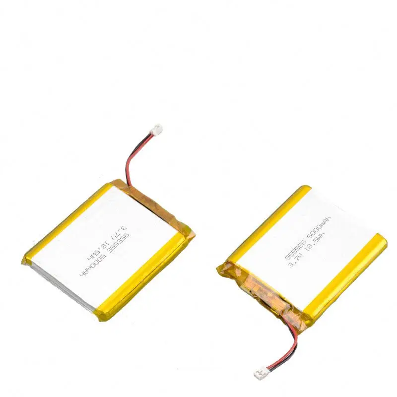 Ion 12V Batterie Electric With for Volt 100Ah Batteries 18650 100 Ah Tricycle Polymer Cells Coin Cell Charger V Lithium Battery