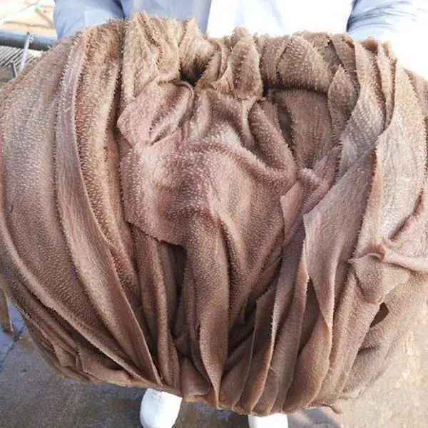 Salted Dried Beef / Cow Omasum for sale...