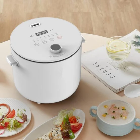 2021 New design japan rice cooker/rice cooker mini portable