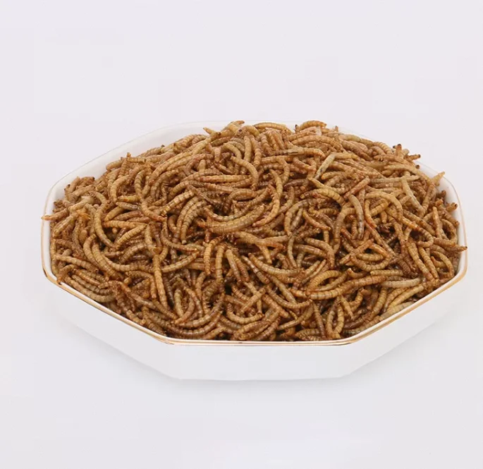 China can customize wholesale dry whitefly Dry mealworms in bulk Wholesale dried yellow mealworms