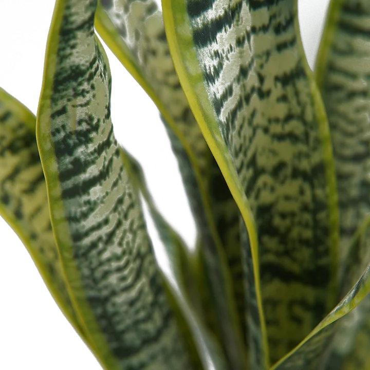 Green Fresh Natural Artificial Simulation Of Snake Plant Garden Indoor And Outdoor Decorative Plant Pot