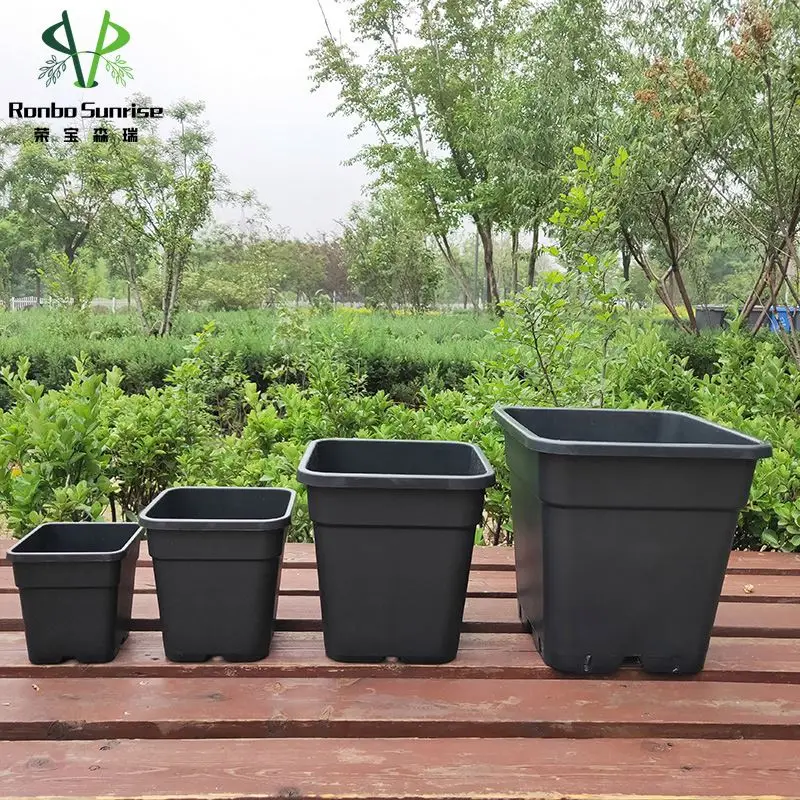 Black Thicken Plastic Rosa Chinensis Gallon Plant Pot Flowerpot With Drainage Hole And Tray