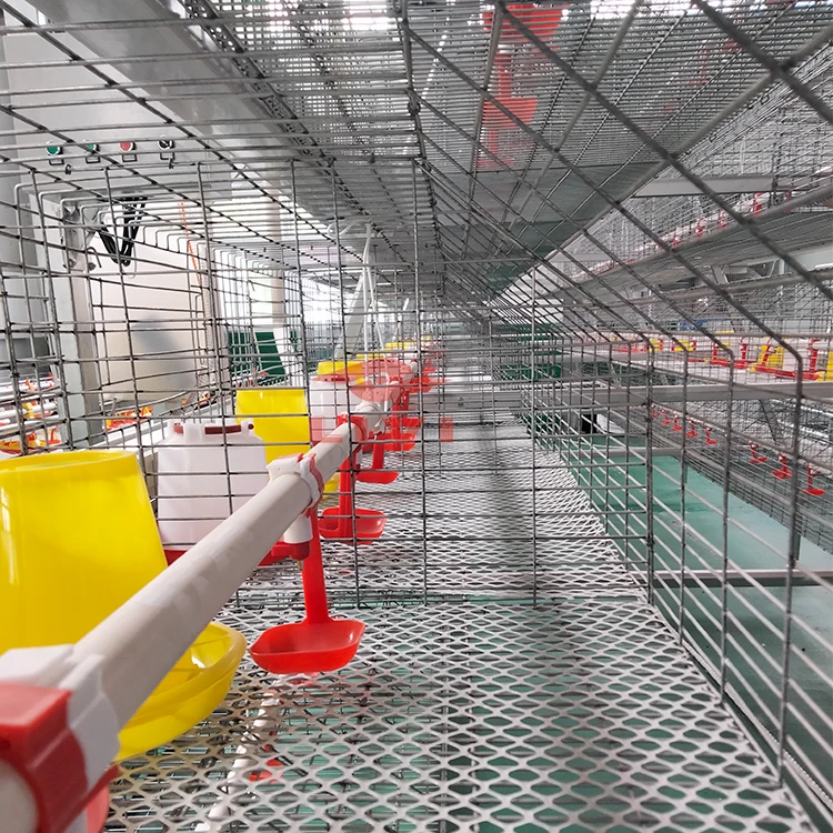 Popular Industrial Hot Galvanized 4 Tier A Type pullet cages Battery baby Layer Chicken Shed Cage For Reasonable Price